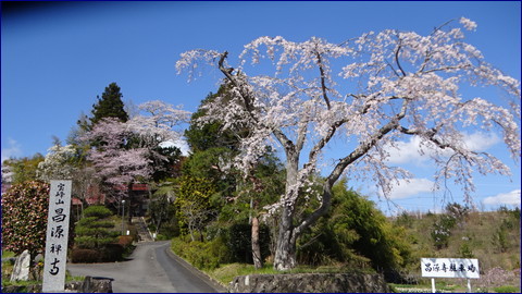 大崎バックグランド