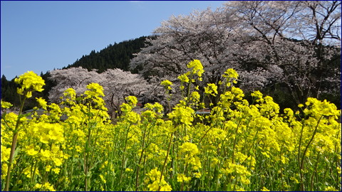 大崎バックグランド