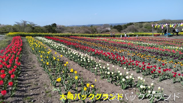 大崎バックグランド