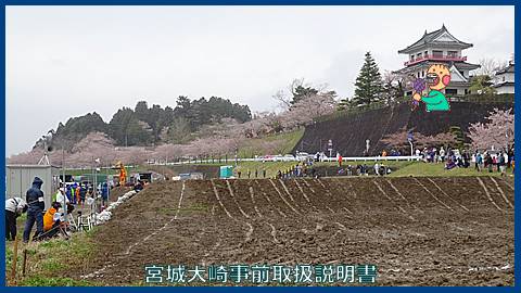 大崎週間予定：１７年４月１５日～