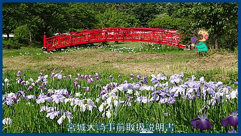 大崎週間予定：１７年６月２３日～