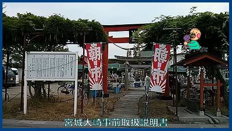 大崎週間予定：１７年７月７日～