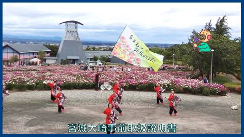 映像：シャクヤク祭り　色麻町　６月４日