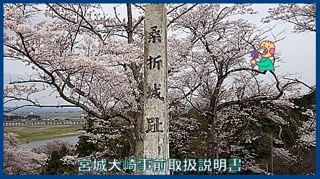 映像：桜と桑折城跡　大崎市三本木