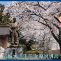 映像：近郊の桜と城跡　中新田城編