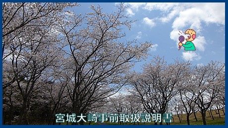 映像：桜　宮沢城跡