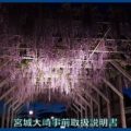 映像：藤の花ライトアップ　古川川端　１７年５月