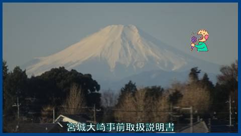 東北新幹線から富士山がよく見える！