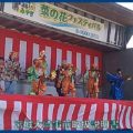 映像：菜の花祭り　大崎市川渡温泉　４月末