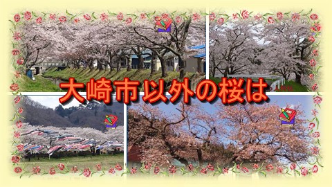 大崎検定問２５８（初級編）　大崎市内でない桜はどれ